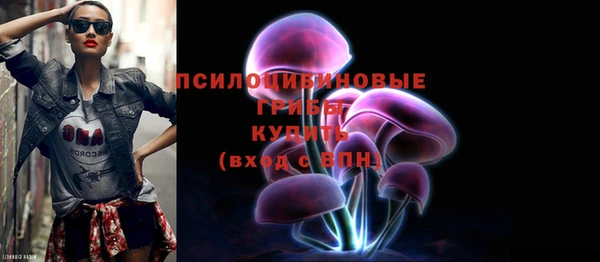 бошки Арсеньев
