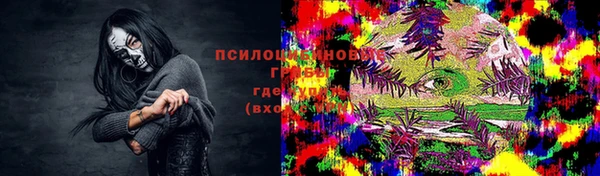 мдпв Армянск