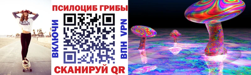 Псилоцибиновые грибы GOLDEN TEACHER  hydra маркетплейс  Мичуринск 